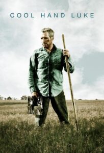 دانلود فیلم Cool Hand Luke 1967 با زیرنویس فارسی چسبیده